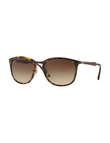 Ray-Ban 4299 Sunglasses le concept de la Pate a emporter 