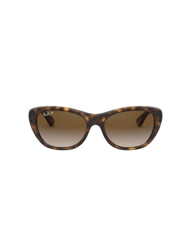 Ray-Ban 4227 Sunglasses hantent personnes