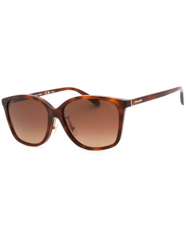 Coach 0HC8361F Sunglasses 50-70% off 