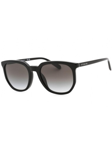 Coach 0HC8384U Sunglasses Faites des économies