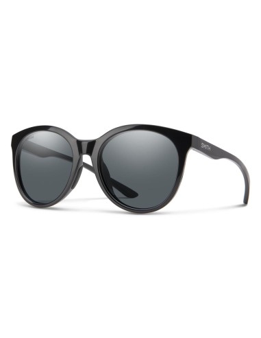 Smith Optics Lifestyle 203672 Bayside Sunglasses Amélioration de cerveau avec