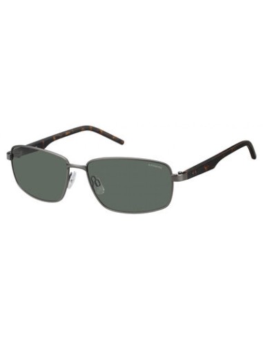 Polaroid Core Pld2041 Sunglasses les ctes