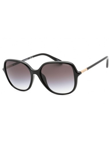 Coach 0HC8344U Sunglasses votre restaurant rapide dans 