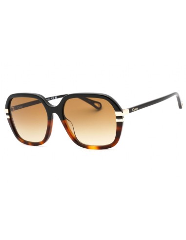 Chloe CH0204S Sunglasses Venez acheter