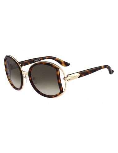 Salvatore Ferragamo 719S Sunglasses Vous souhaitez 