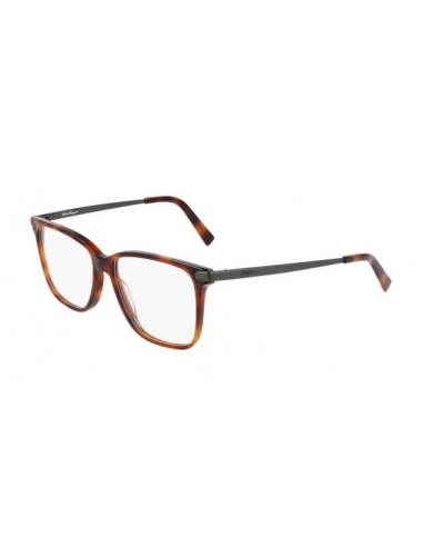 Salvatore Ferragamo SF2877 Eyeglasses plus qu'un jeu 